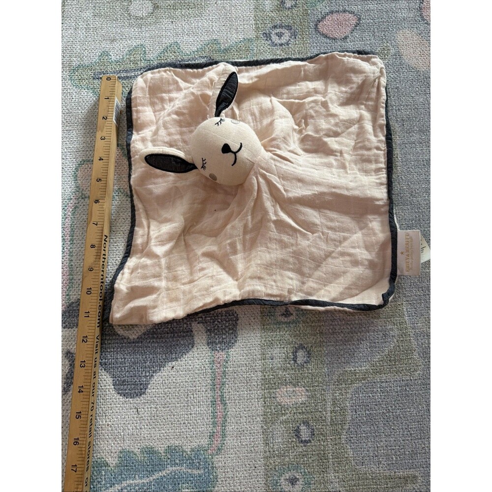 Pottery Barn Kids Emily & Meritt Baby Lovey Organic Cotton Blanket Pink Bunny